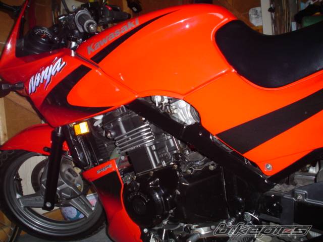 Photo 237647