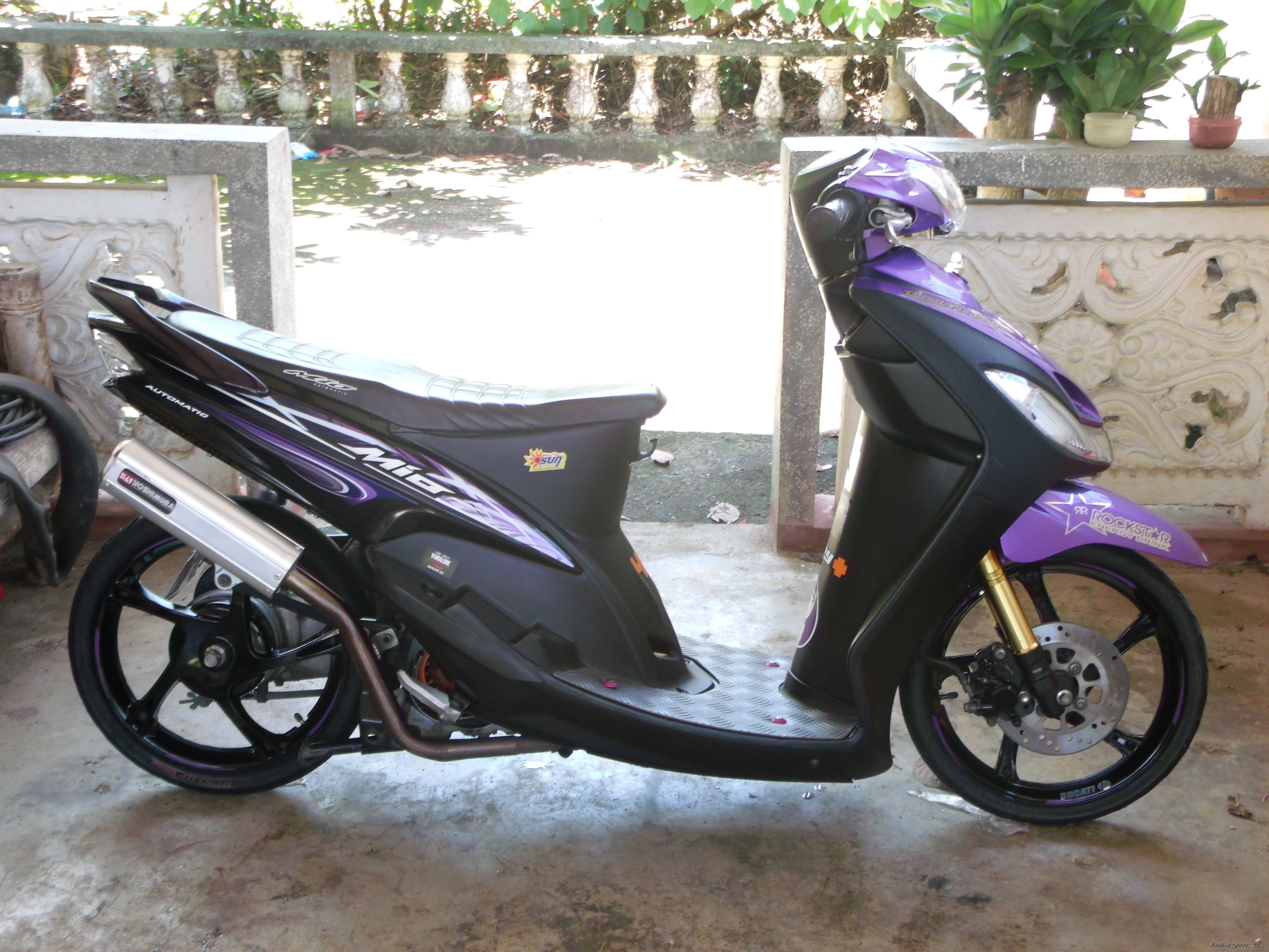 Photo 2376513