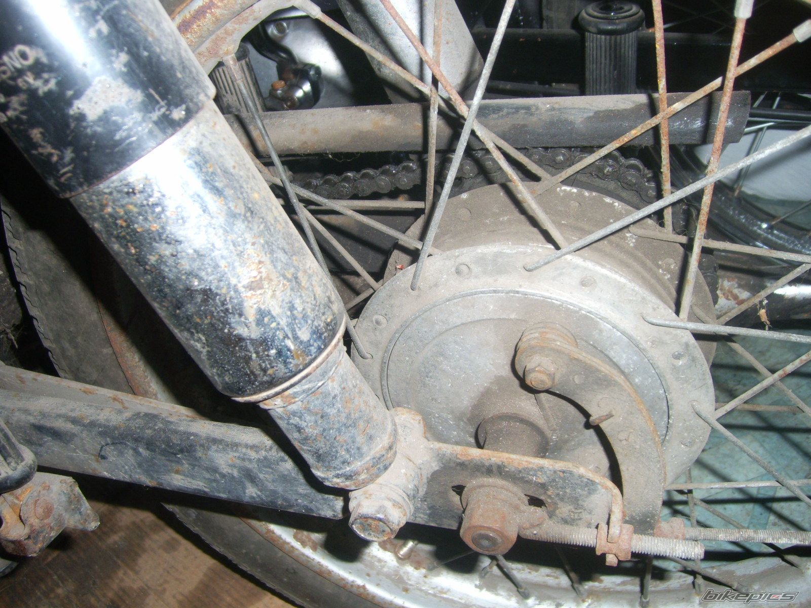 Photo 2376617