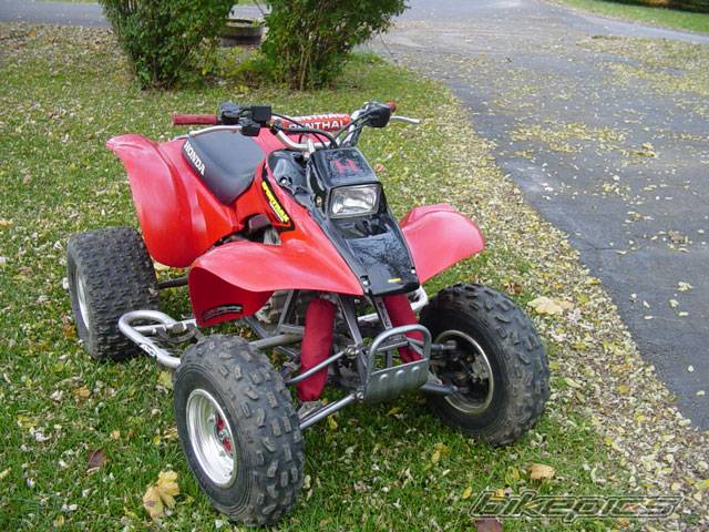 Photo 237662