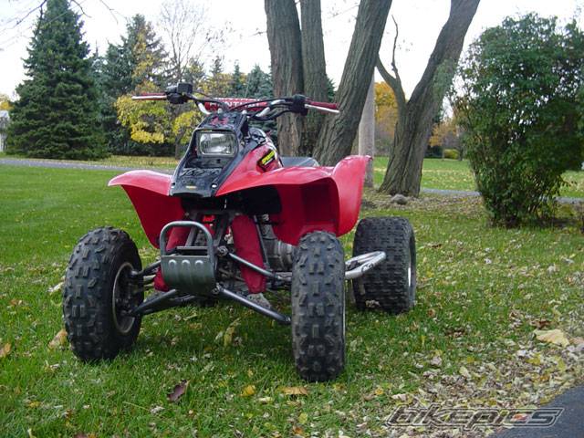 Photo 237663