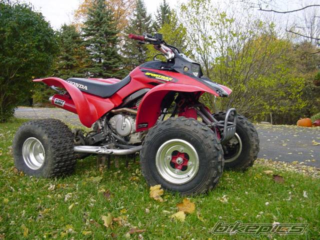 Photo 237664
