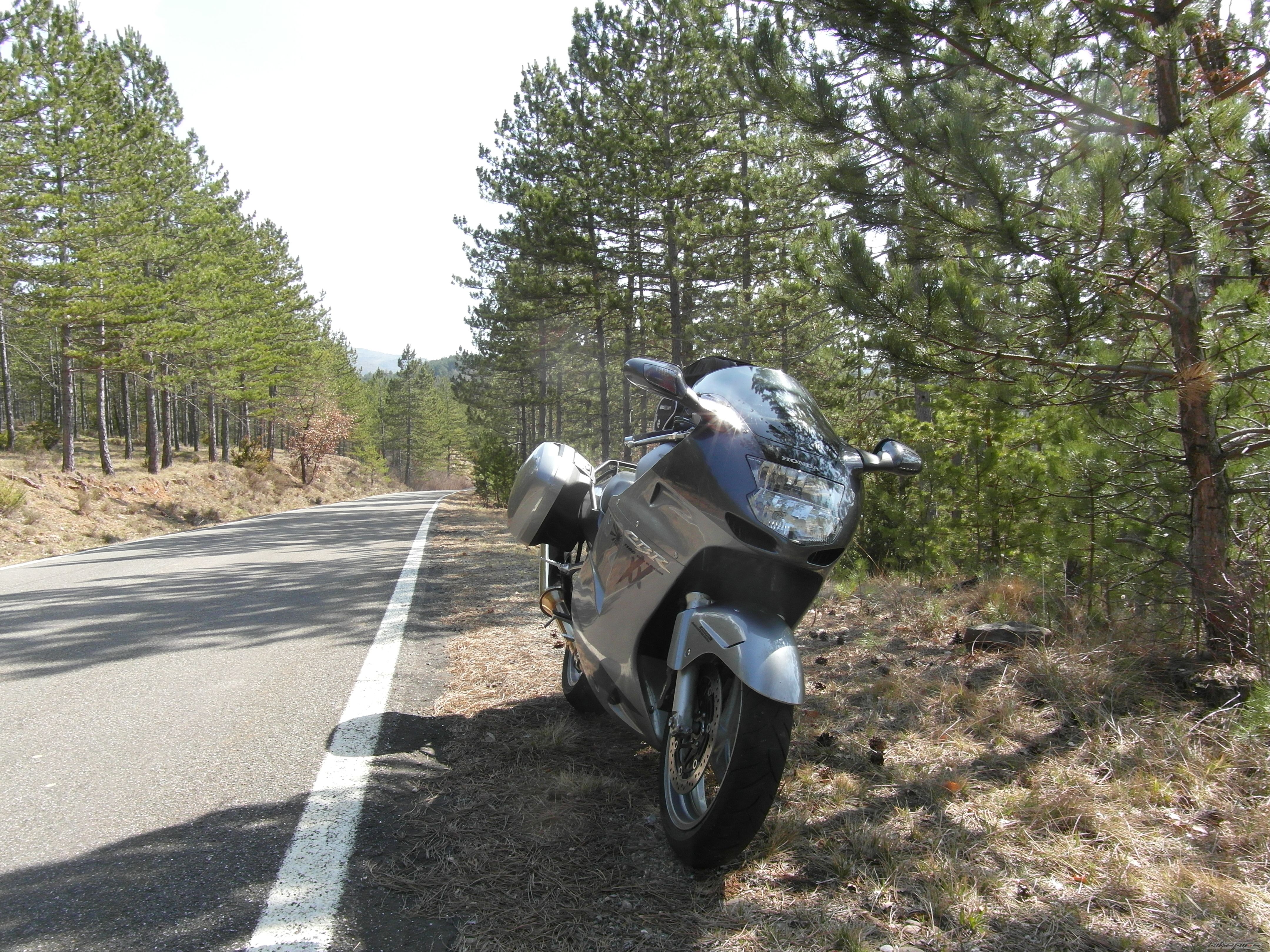 Photo 2376773