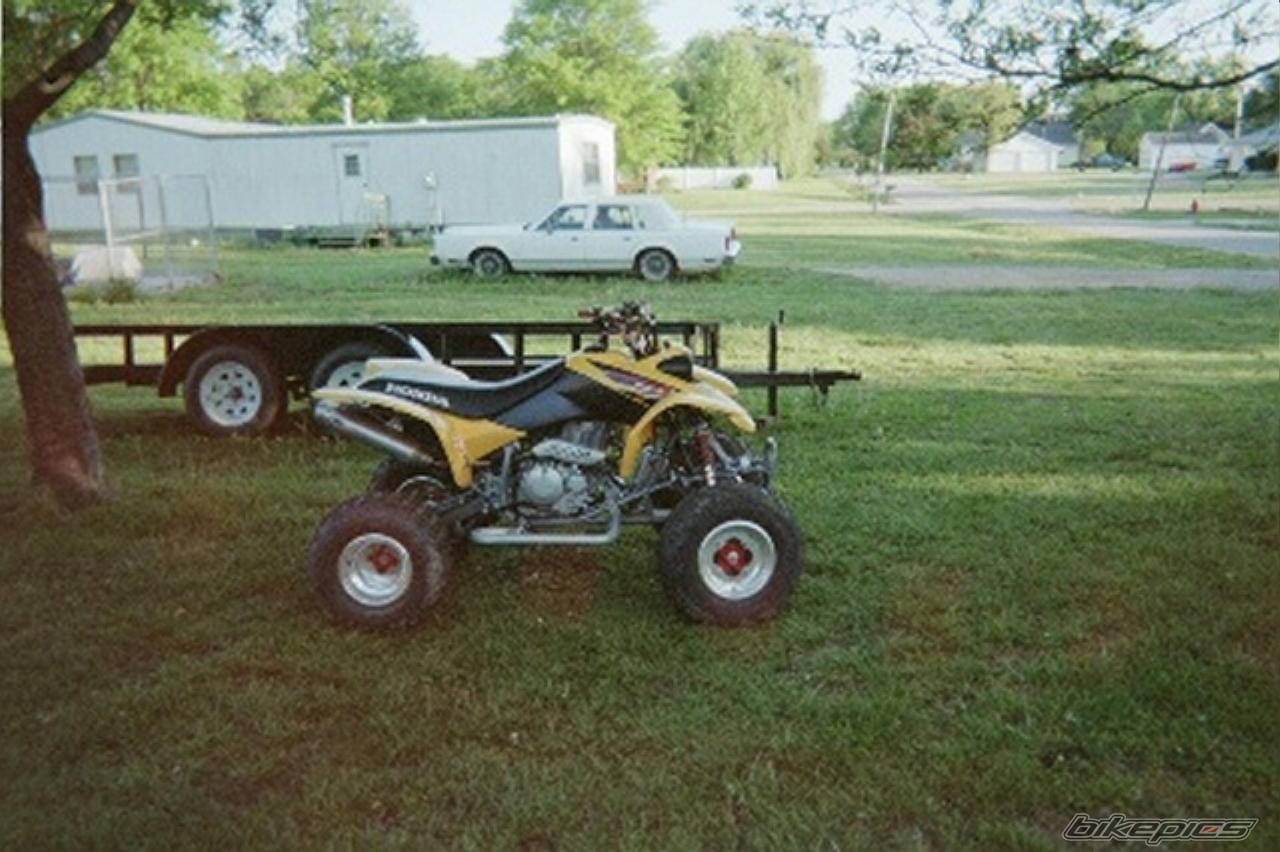 Photo 237708