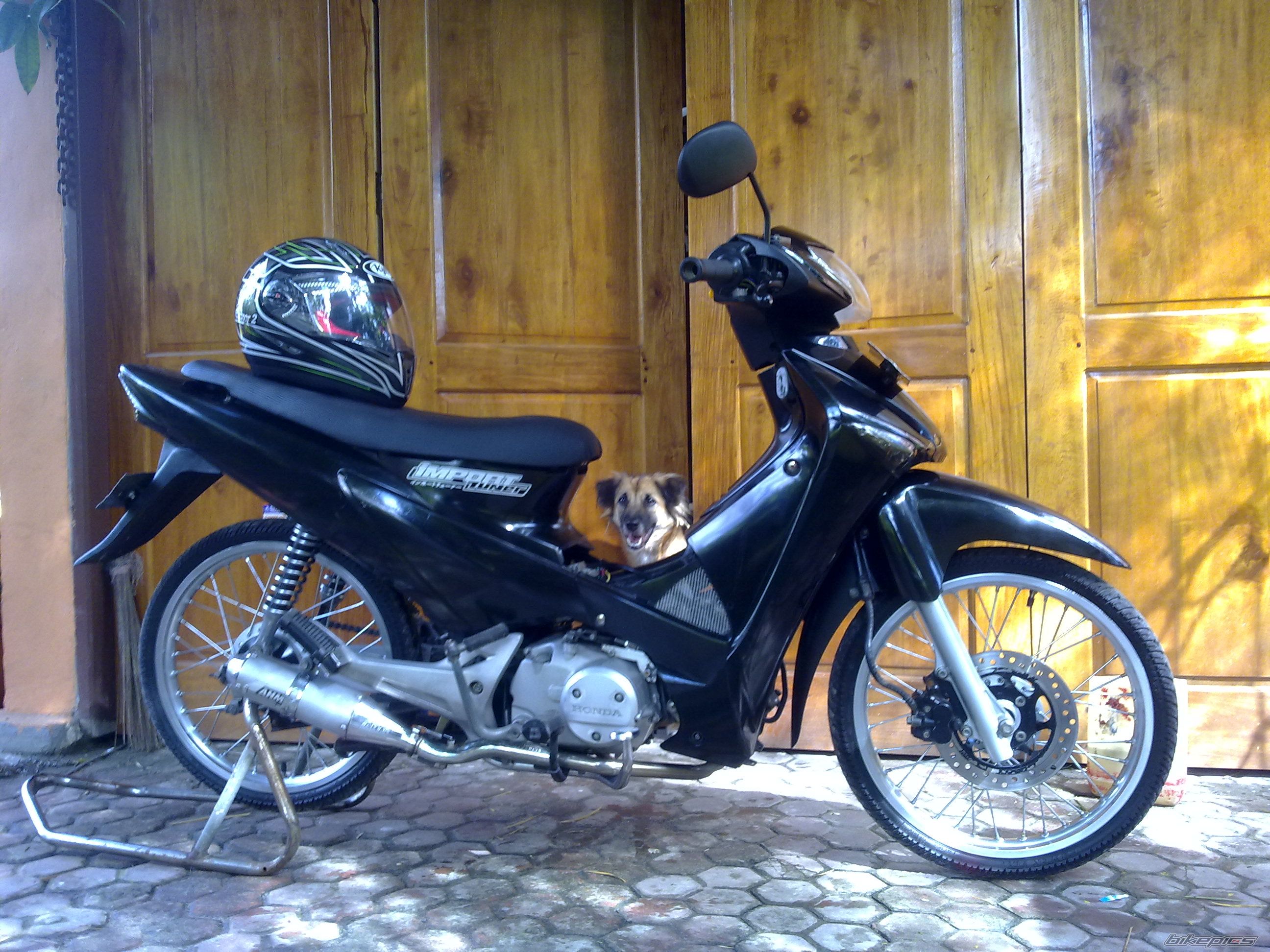 Photo 2377231