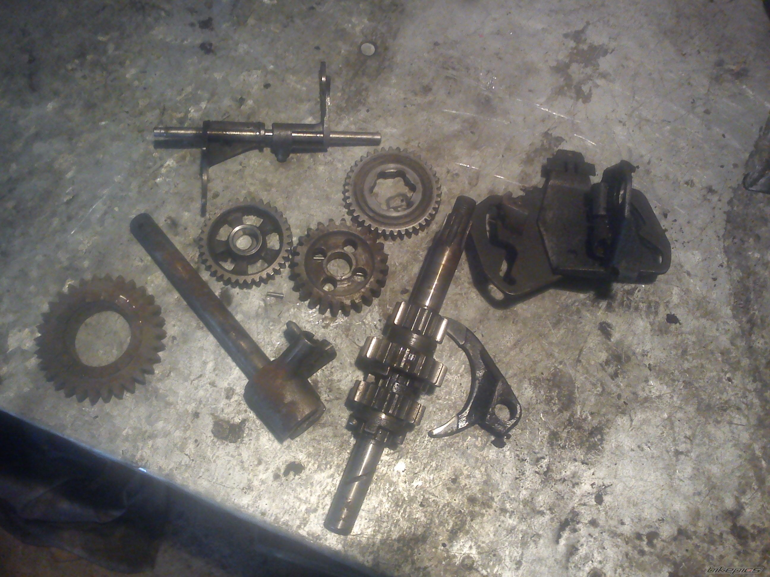 Photo 2377284