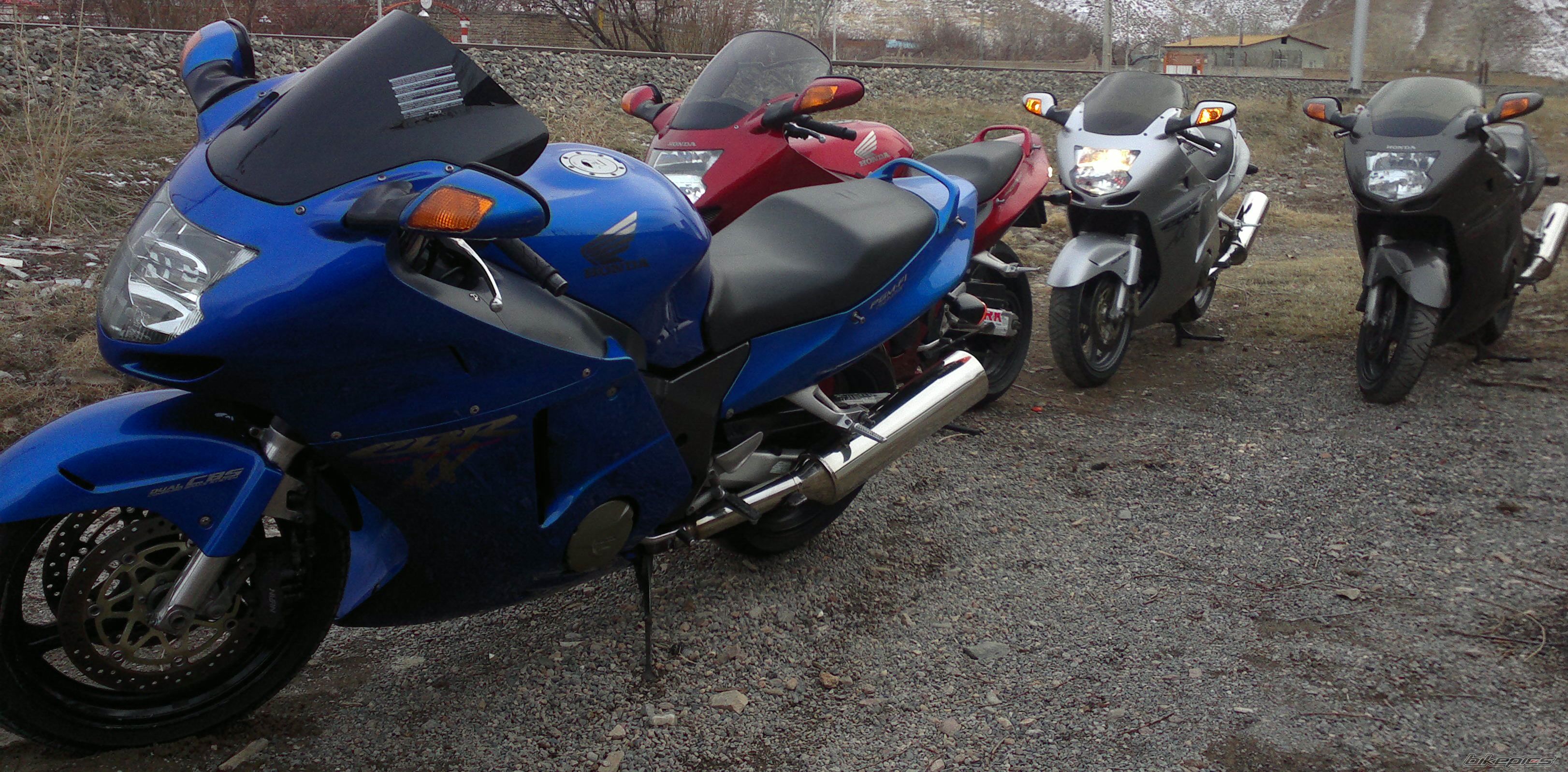 Photo 2377294