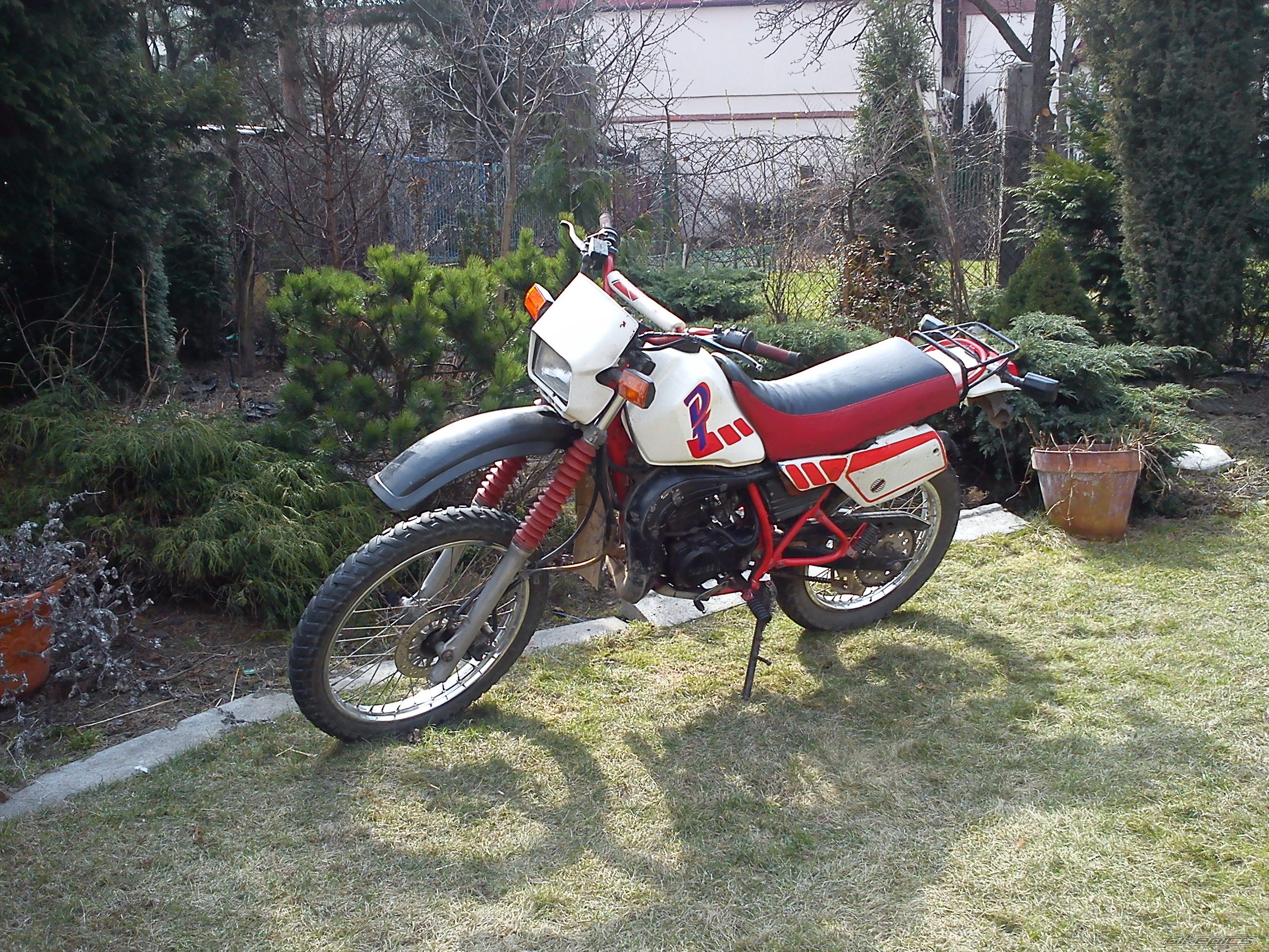 Photo 2377404