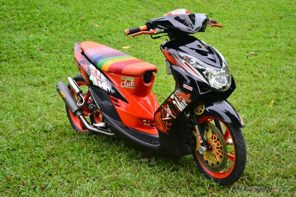 Photo 2377426