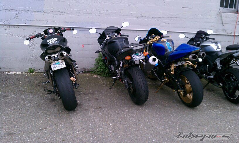 Photo 2377454