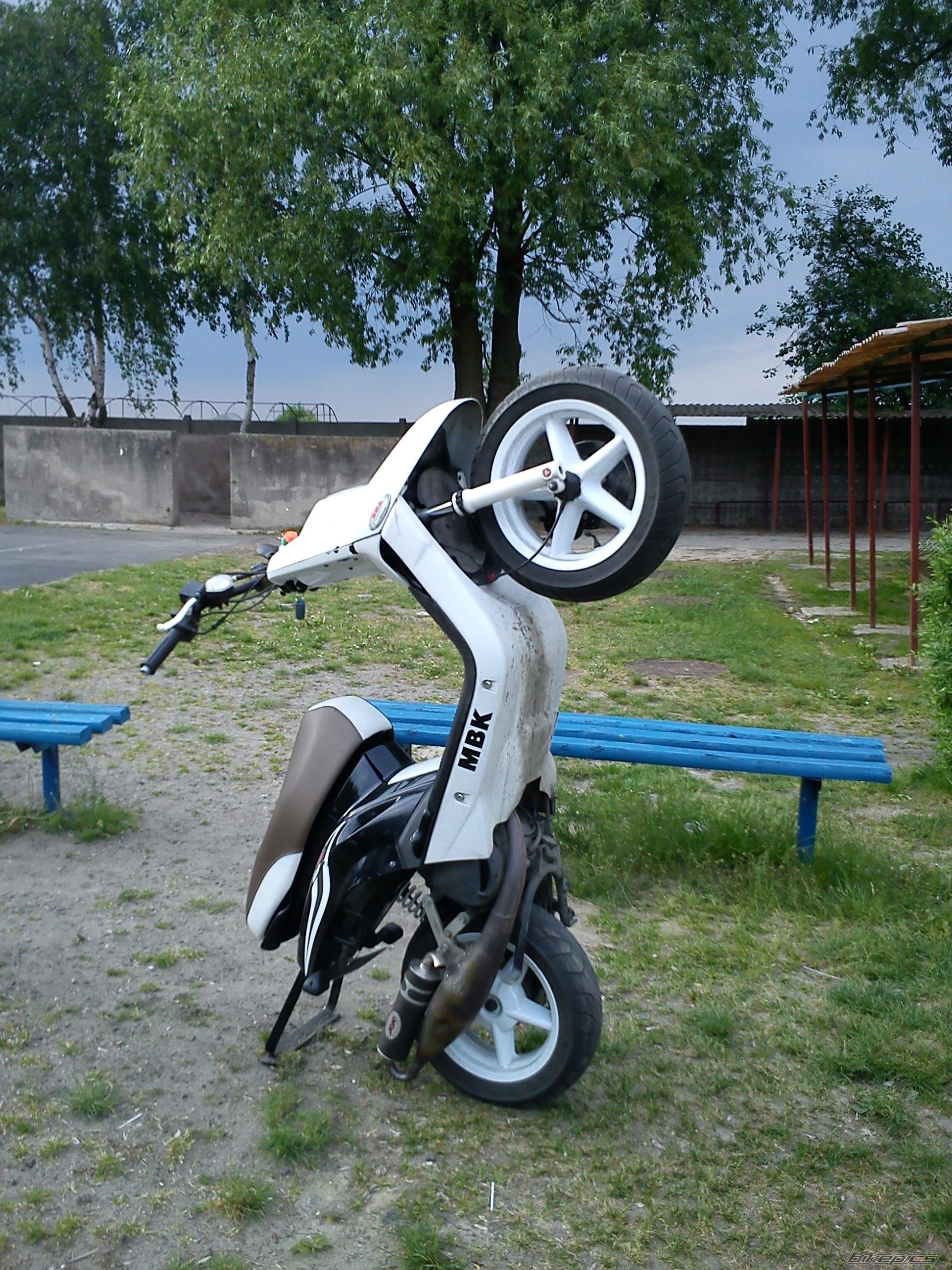 Photo 2377546