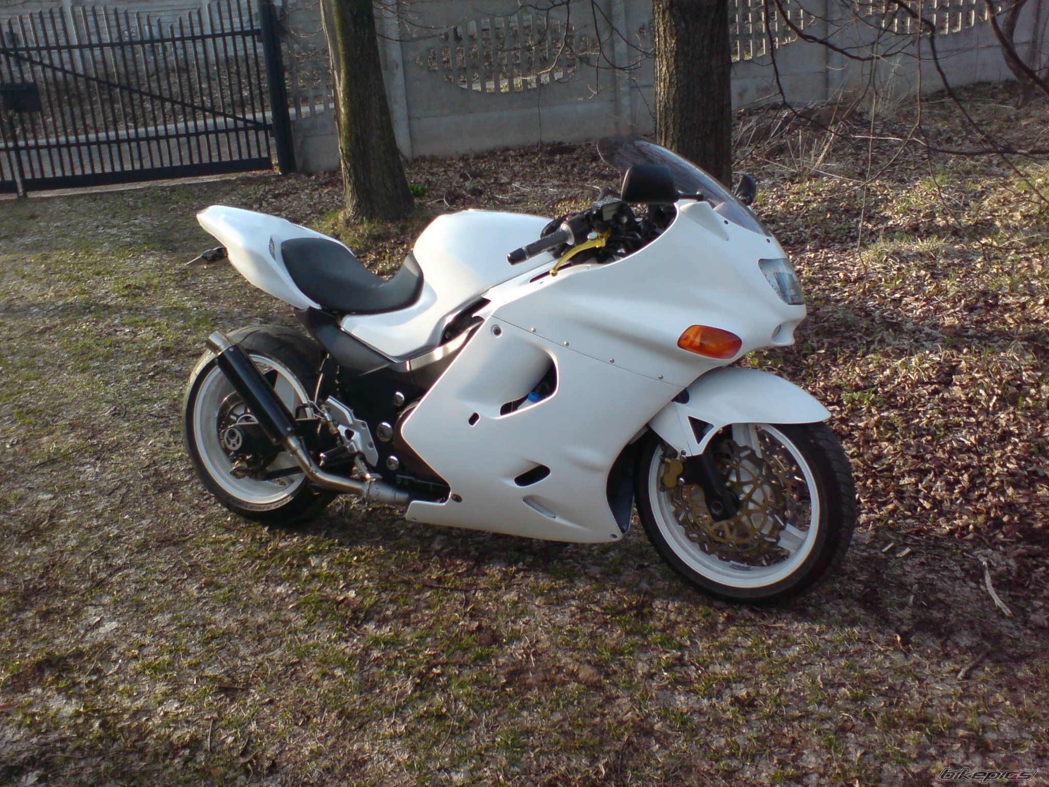 Photo 2377553