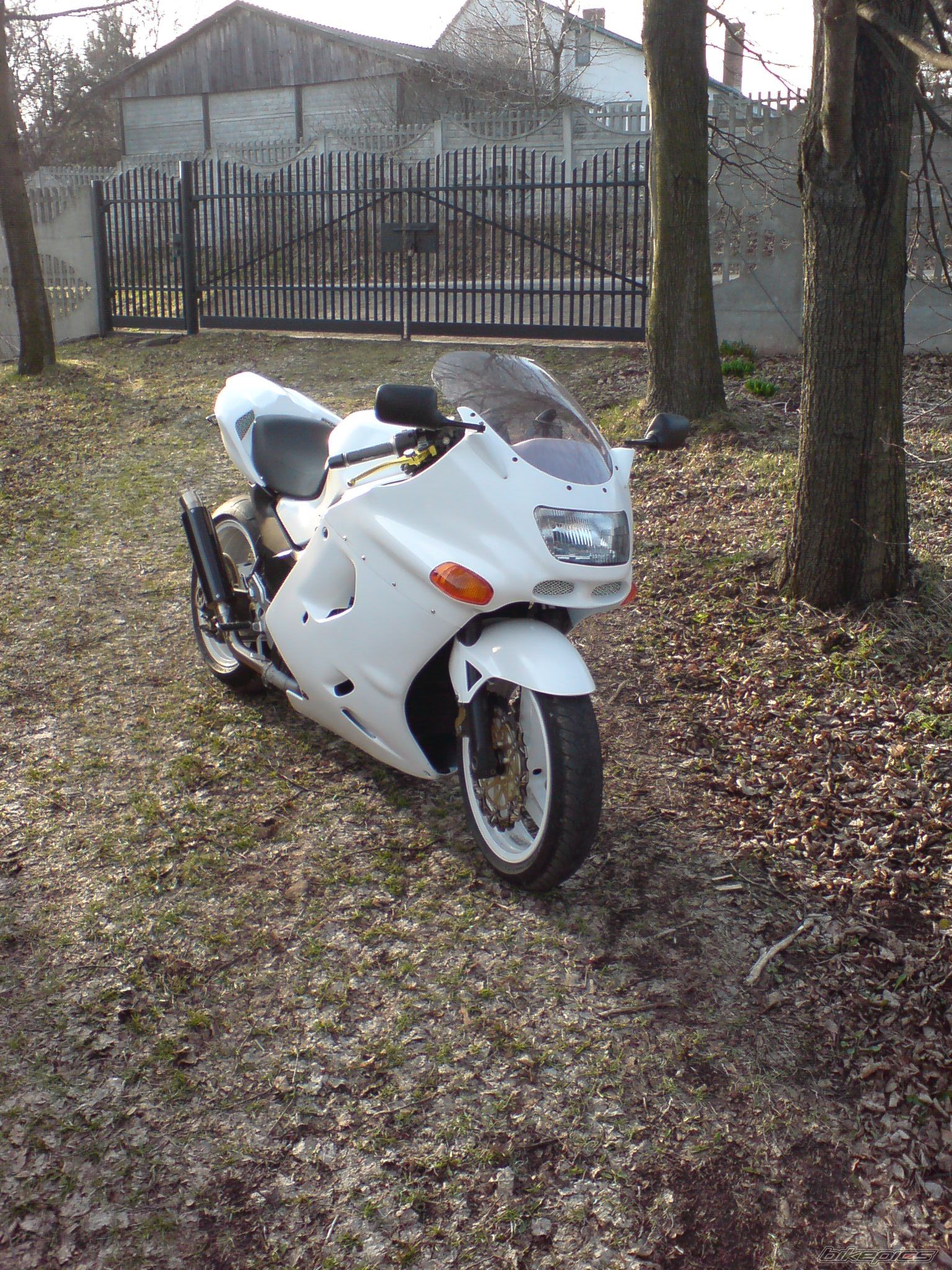 Photo 2377555