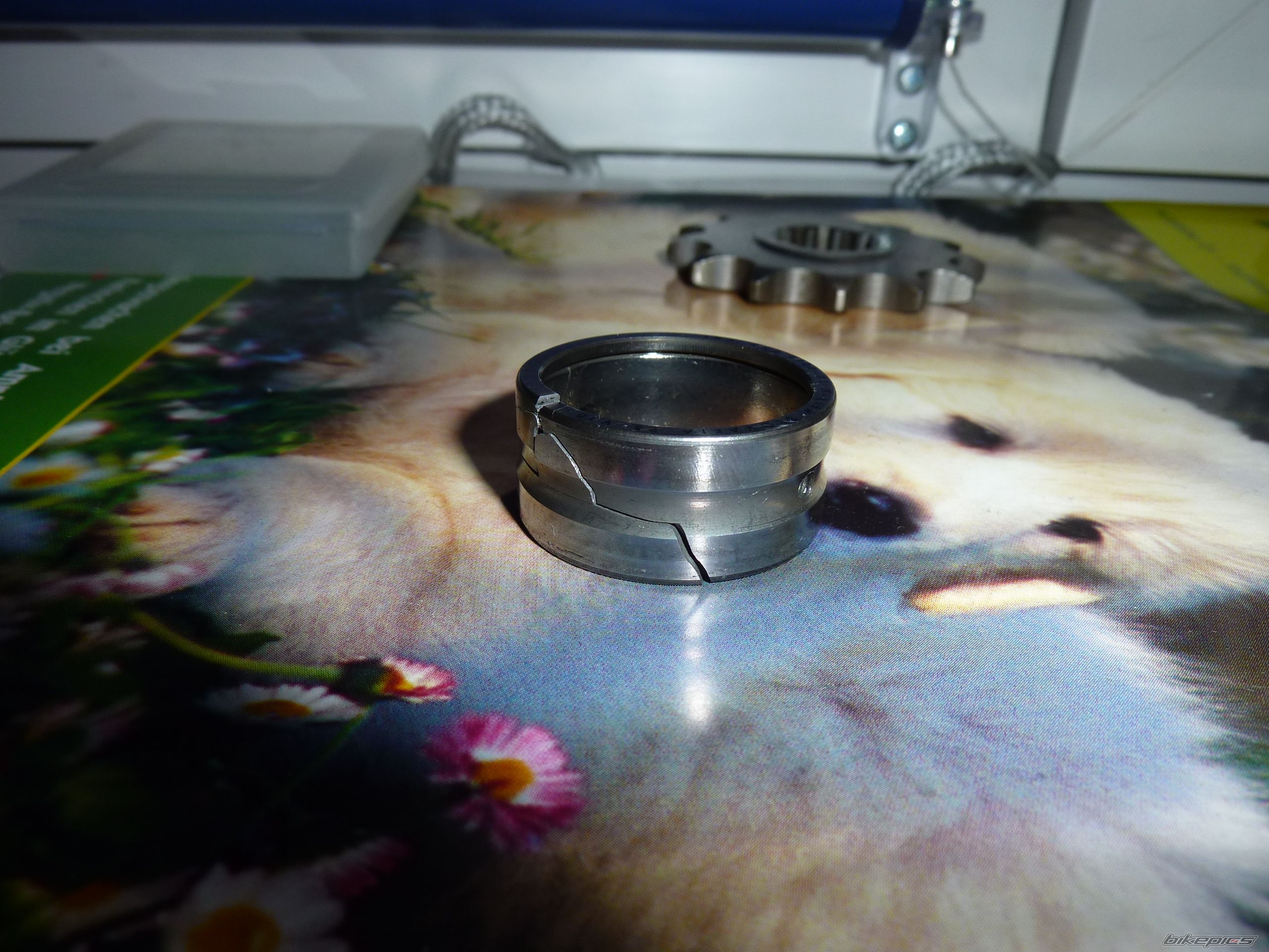 Photo 2377597