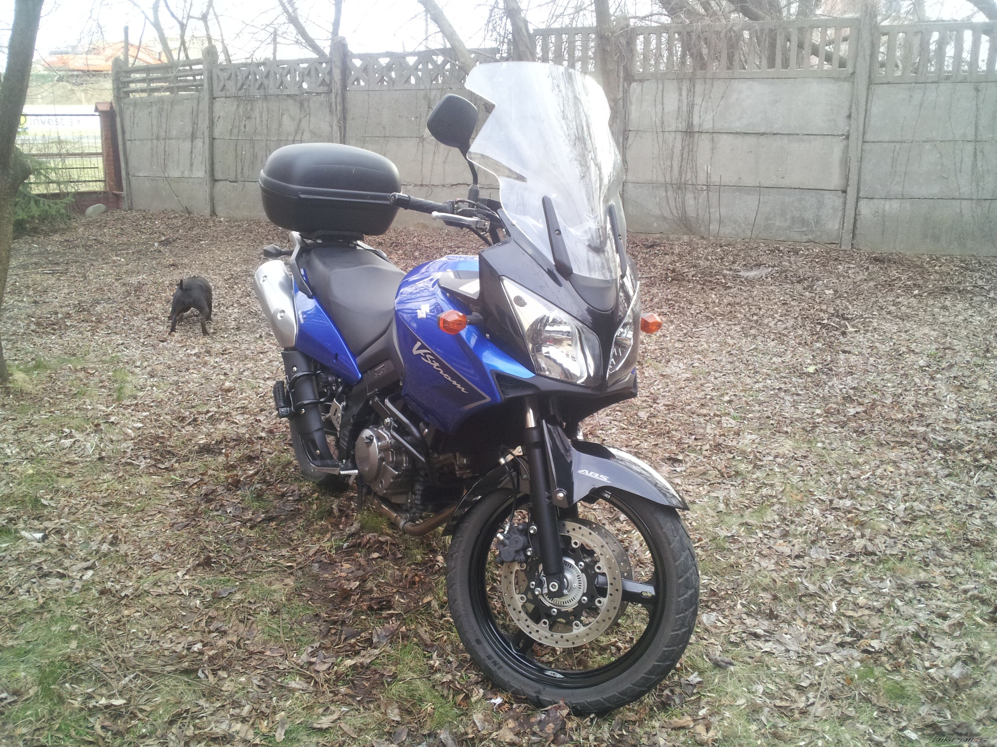 Photo 2377609