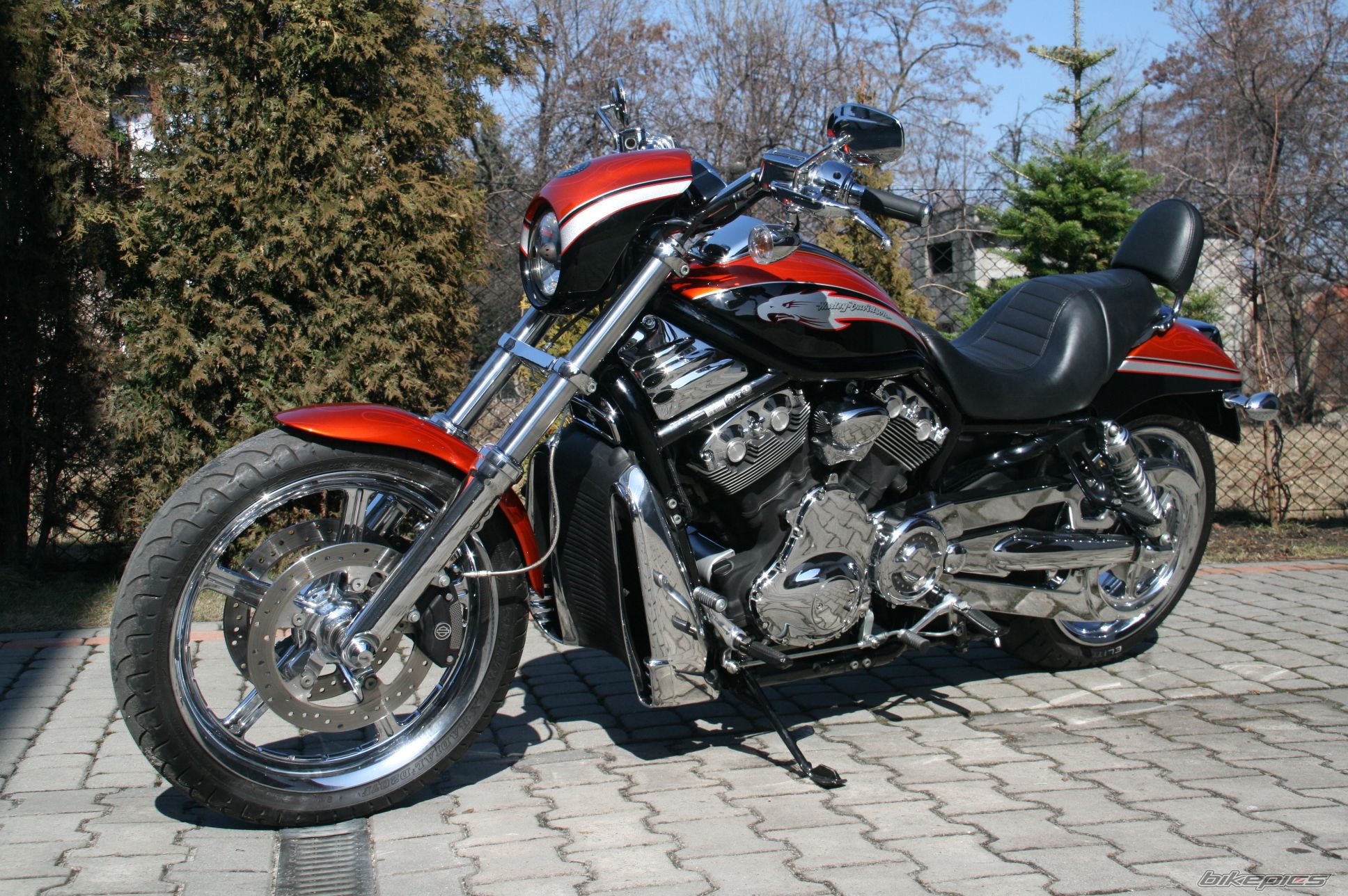 Photo 2377662