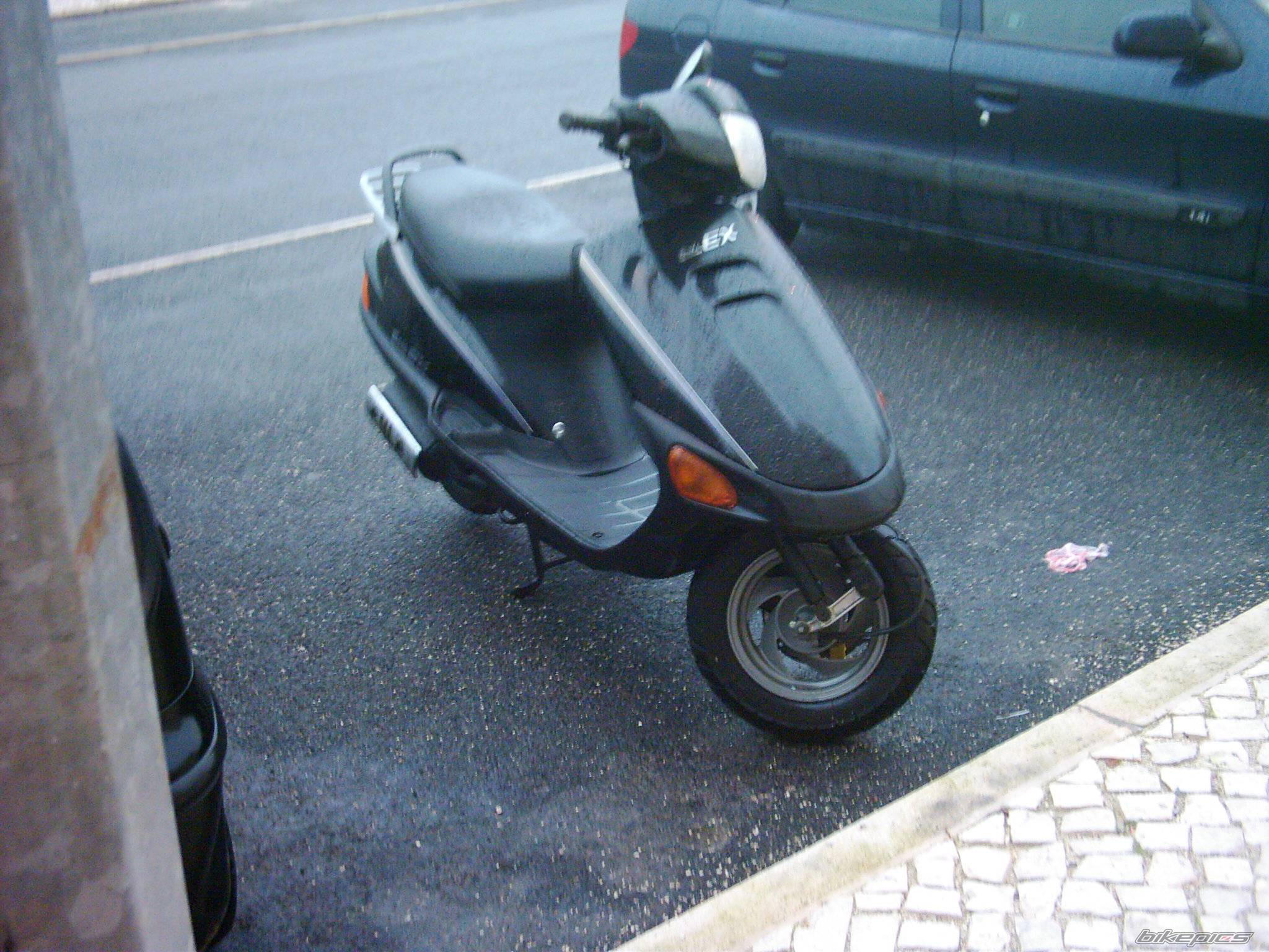 Photo 237767
