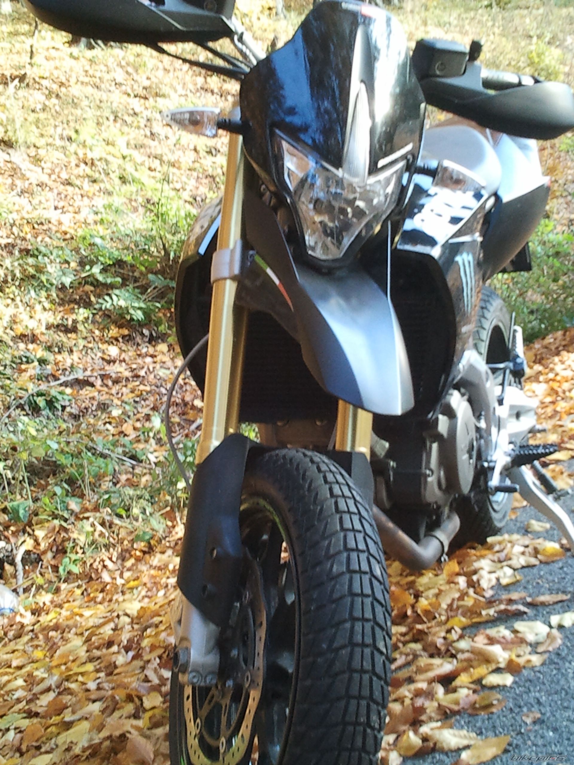 Photo 2377707