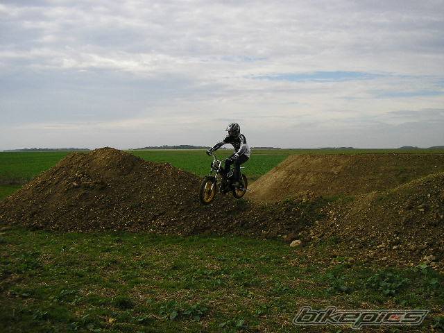Photo 237771