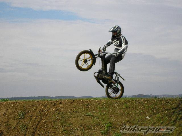 Photo 237772
