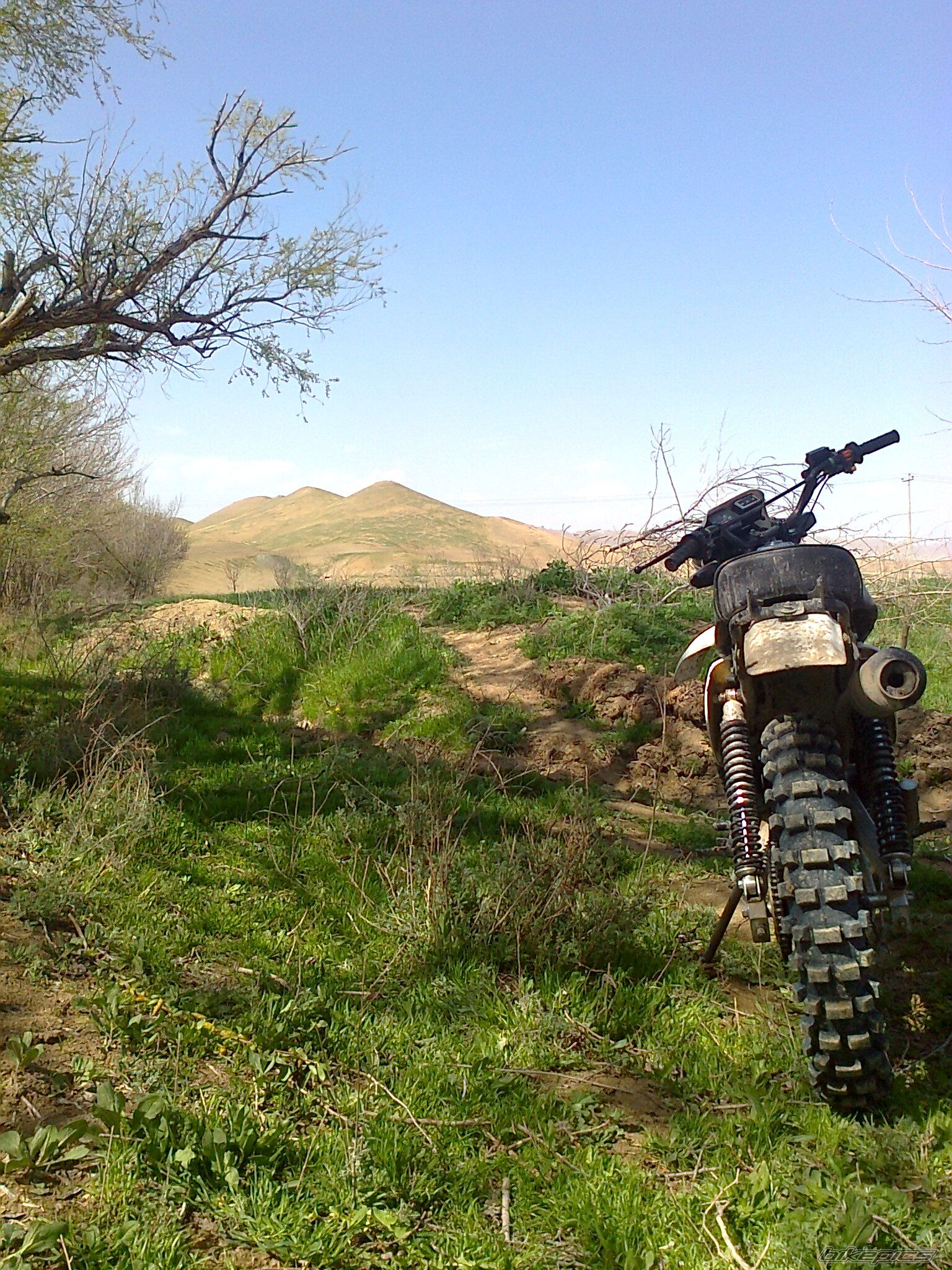 Photo 2377729
