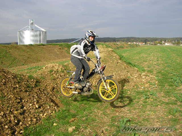 Photo 237773