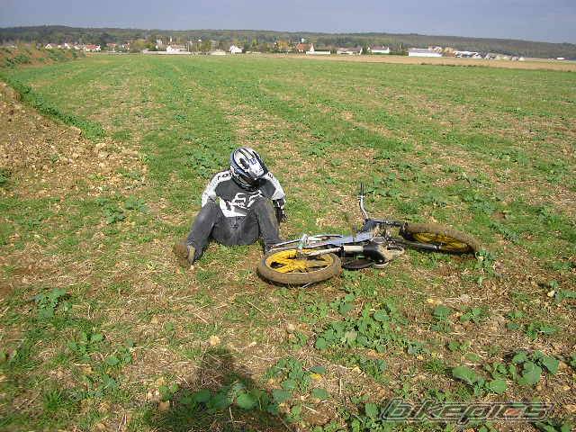 Photo 237774