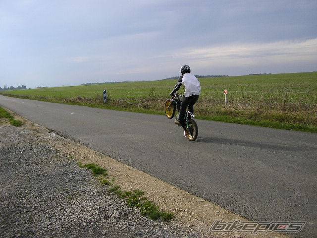 Photo 237776