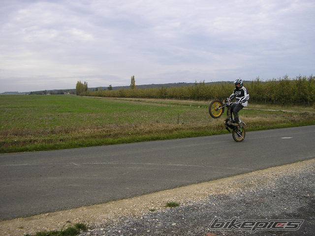 Photo 237781
