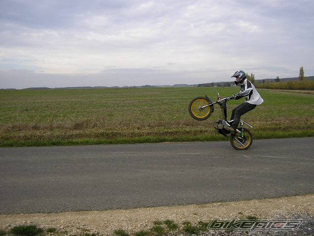 Photo 237782