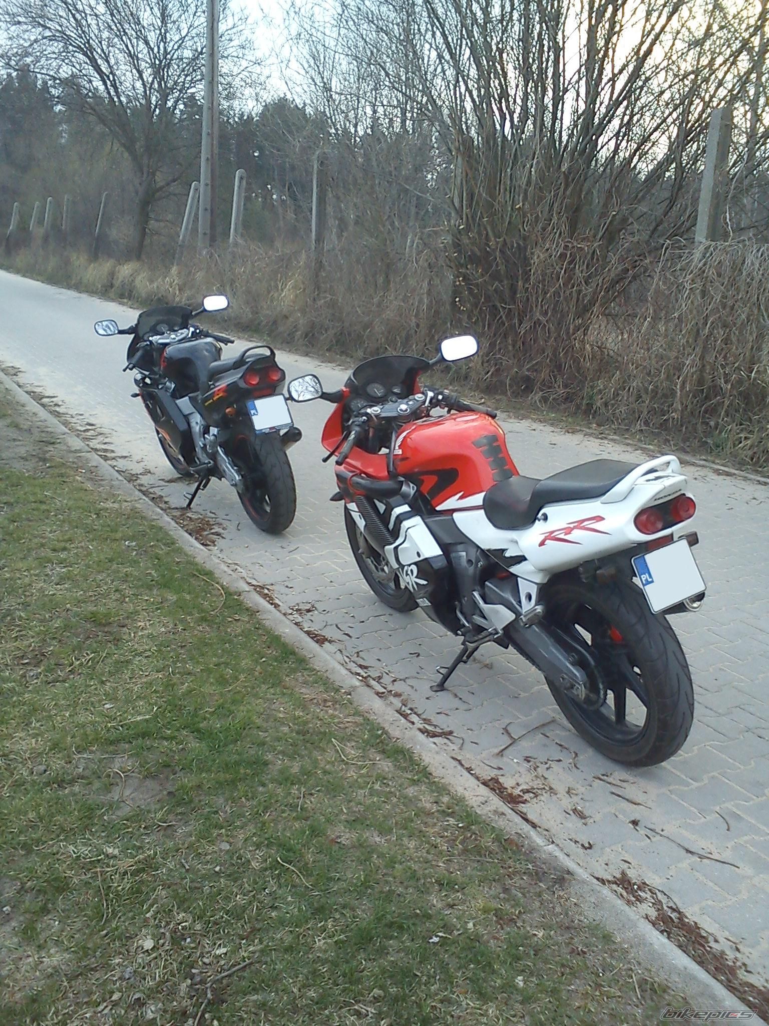 Photo 2377825