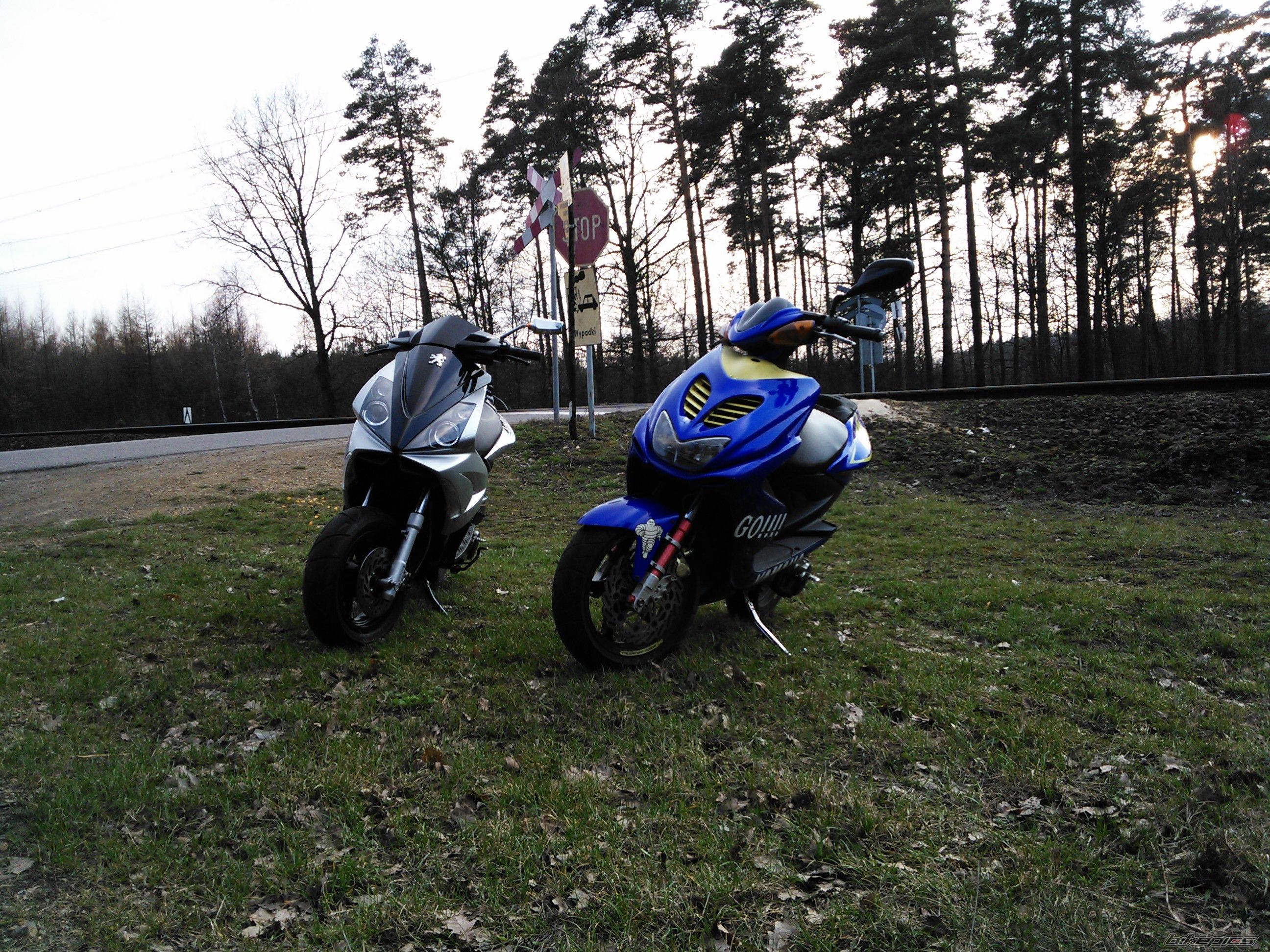 Photo 2377873
