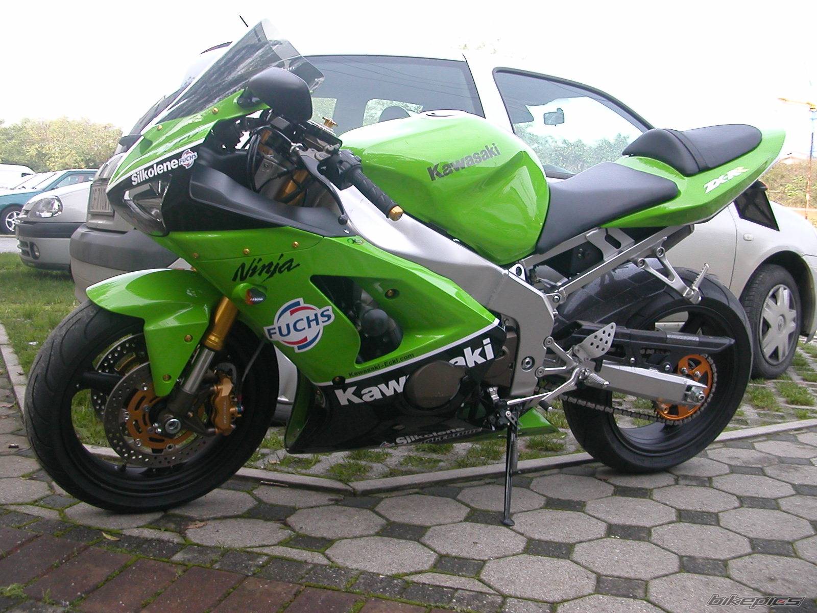 Photo 237790