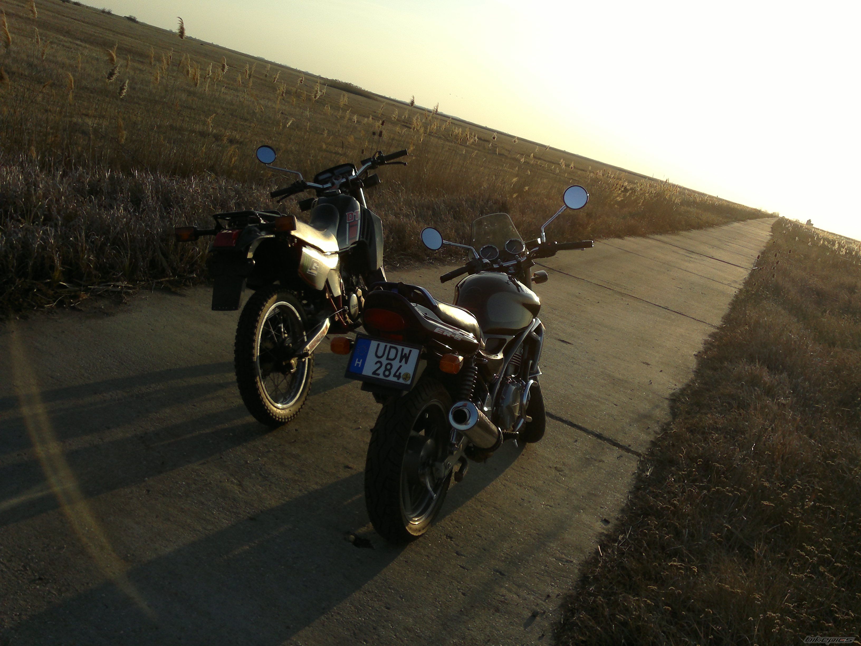 Photo 2377993