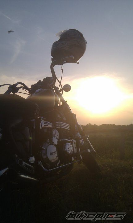Photo 2378029
