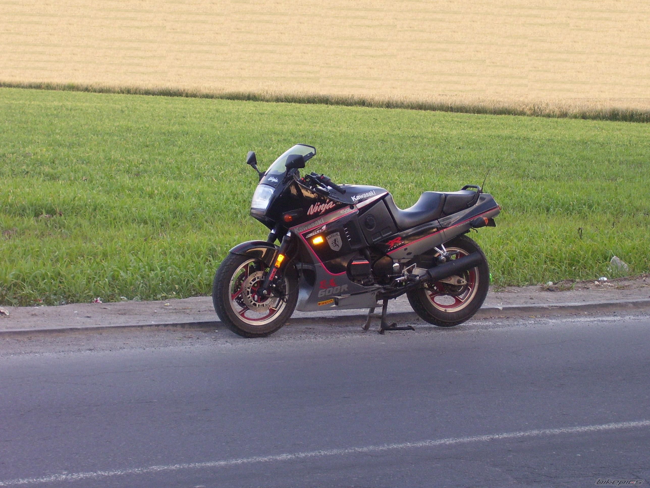 Photo 2378066