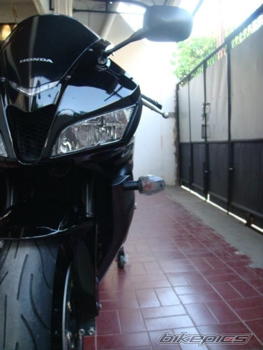 Photo 2378082