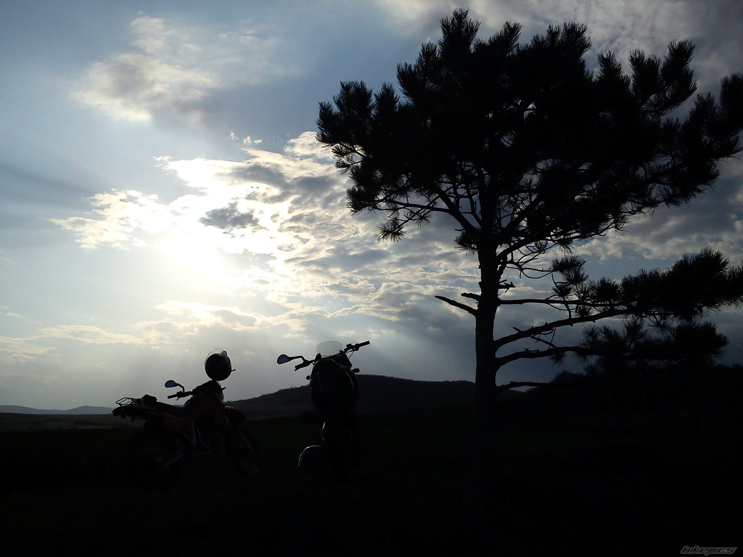 Photo 2378108