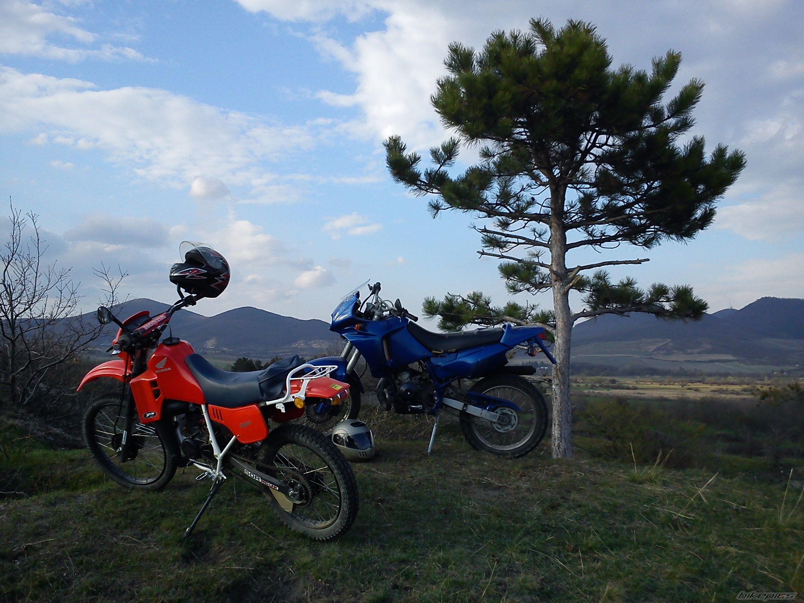 Photo 2378109