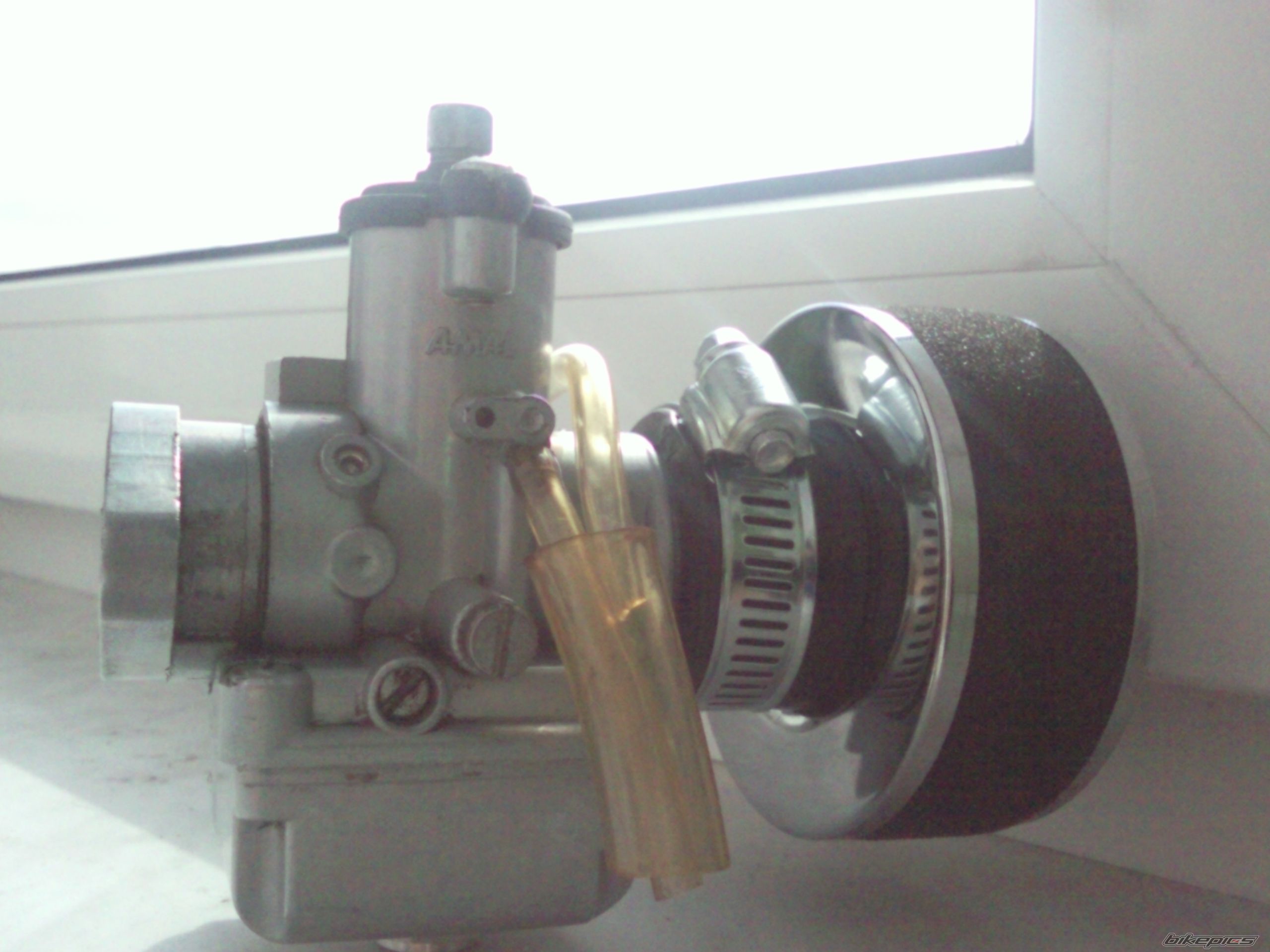 Photo 2378130