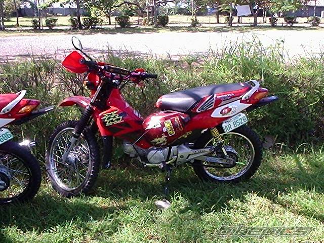 Photo 237819