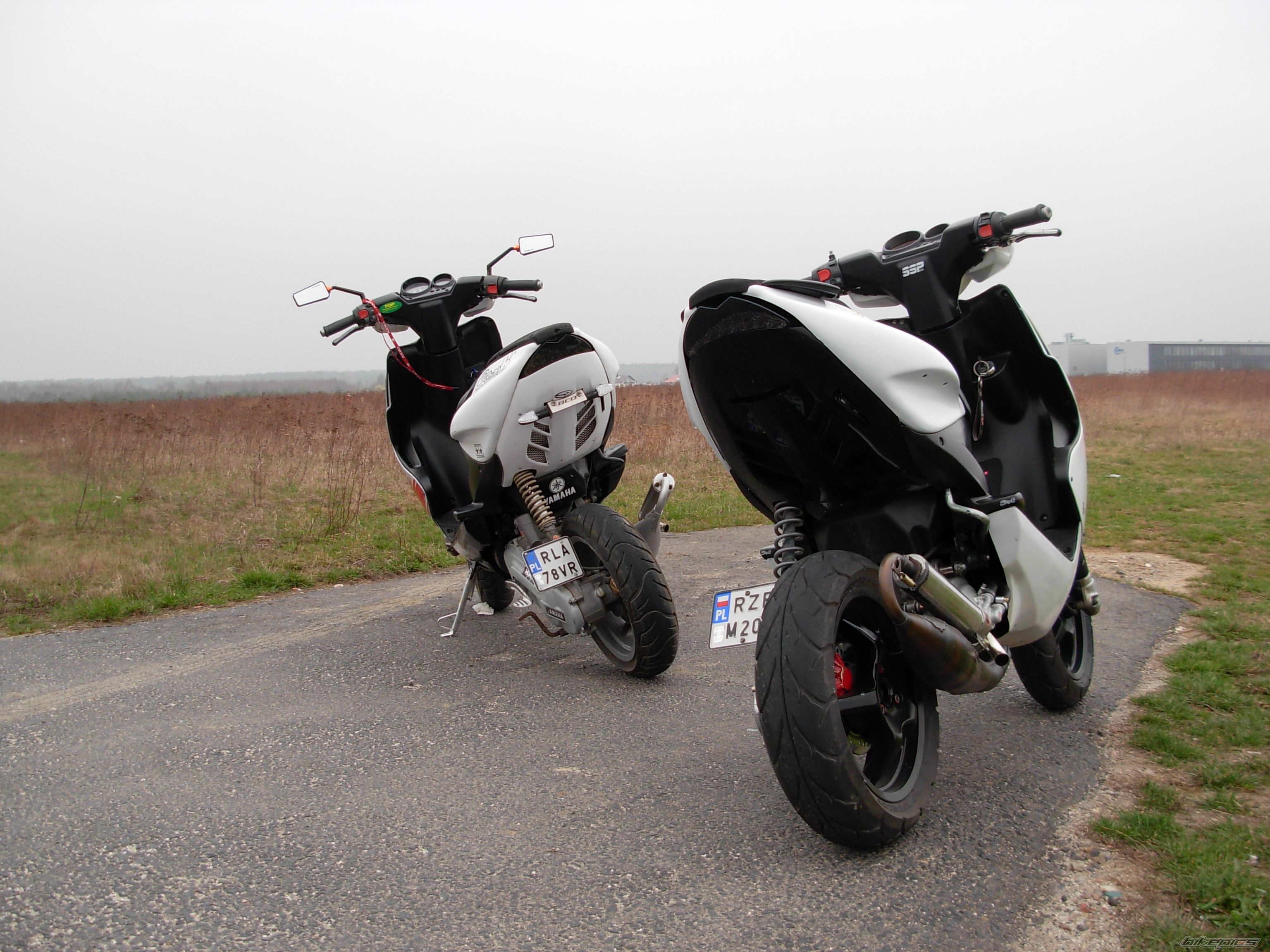 Photo 2378234
