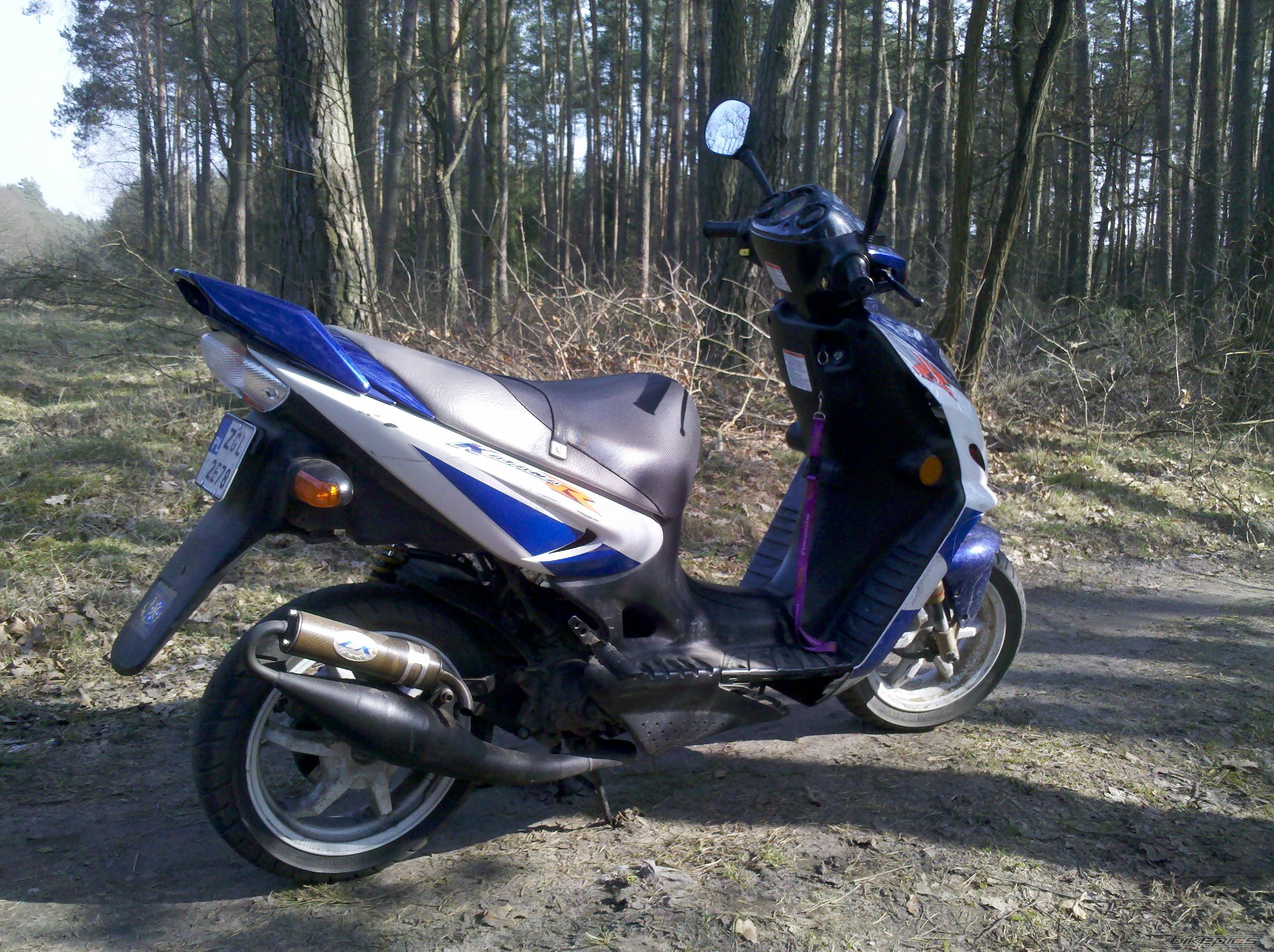 Photo 2378235