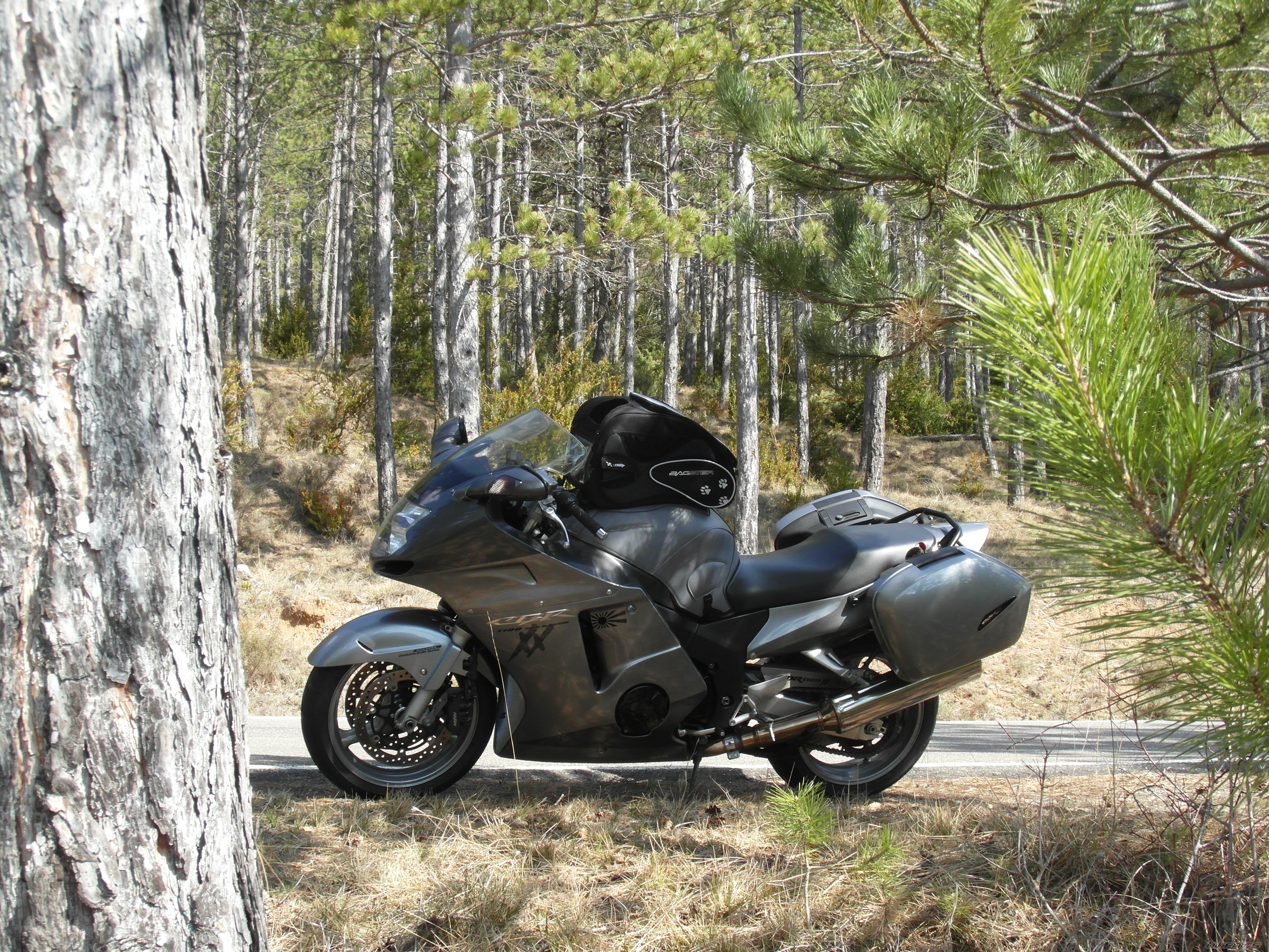 Photo 2378256