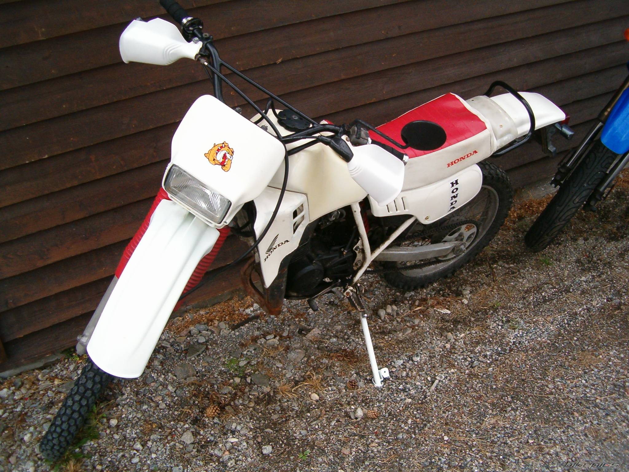 Photo 237839