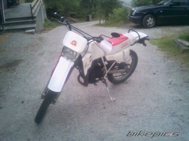 Photo 237841