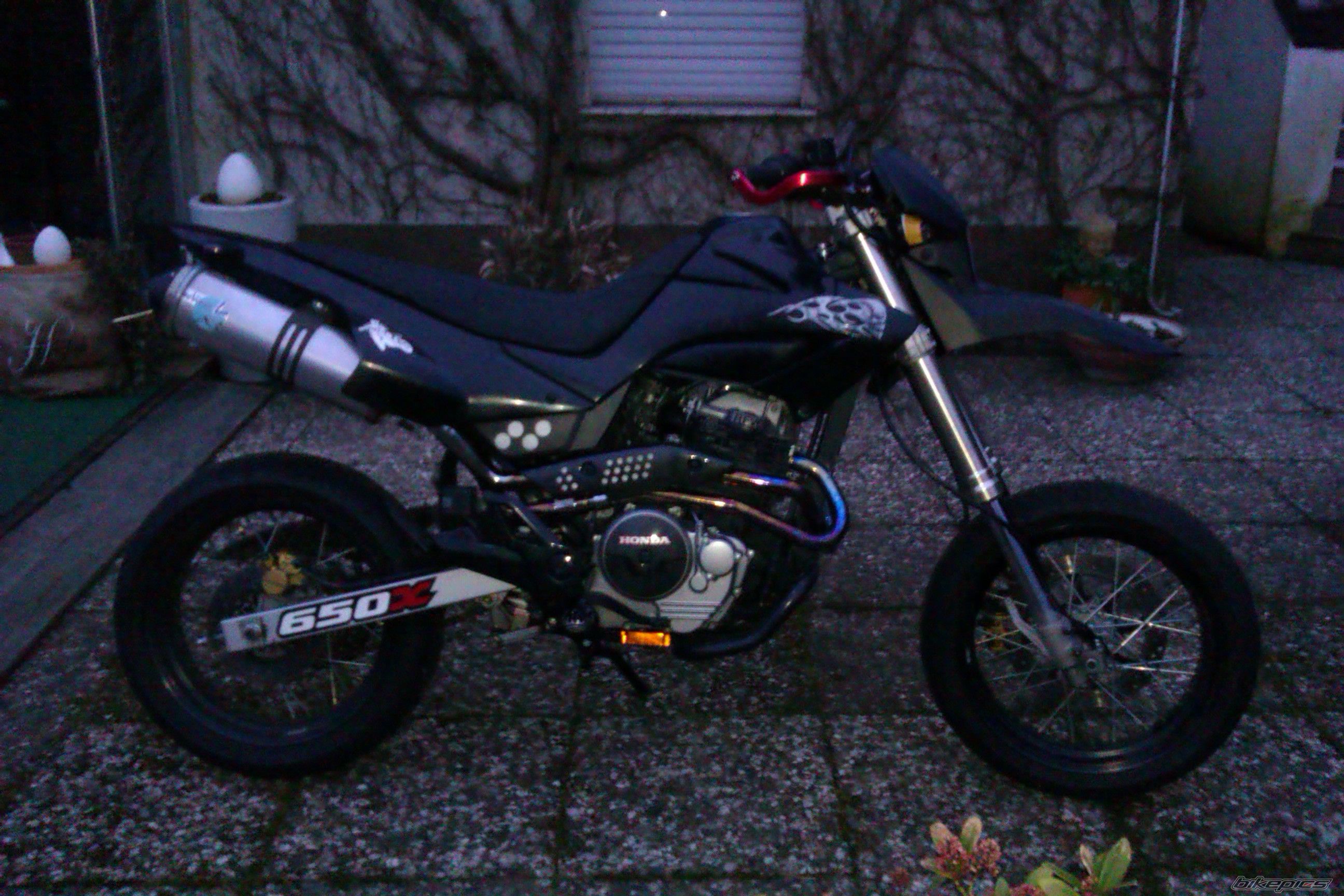 Photo 2378410