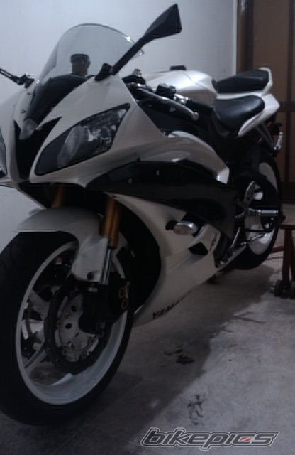 Photo 2378424
