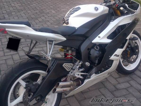 Photo 2378427