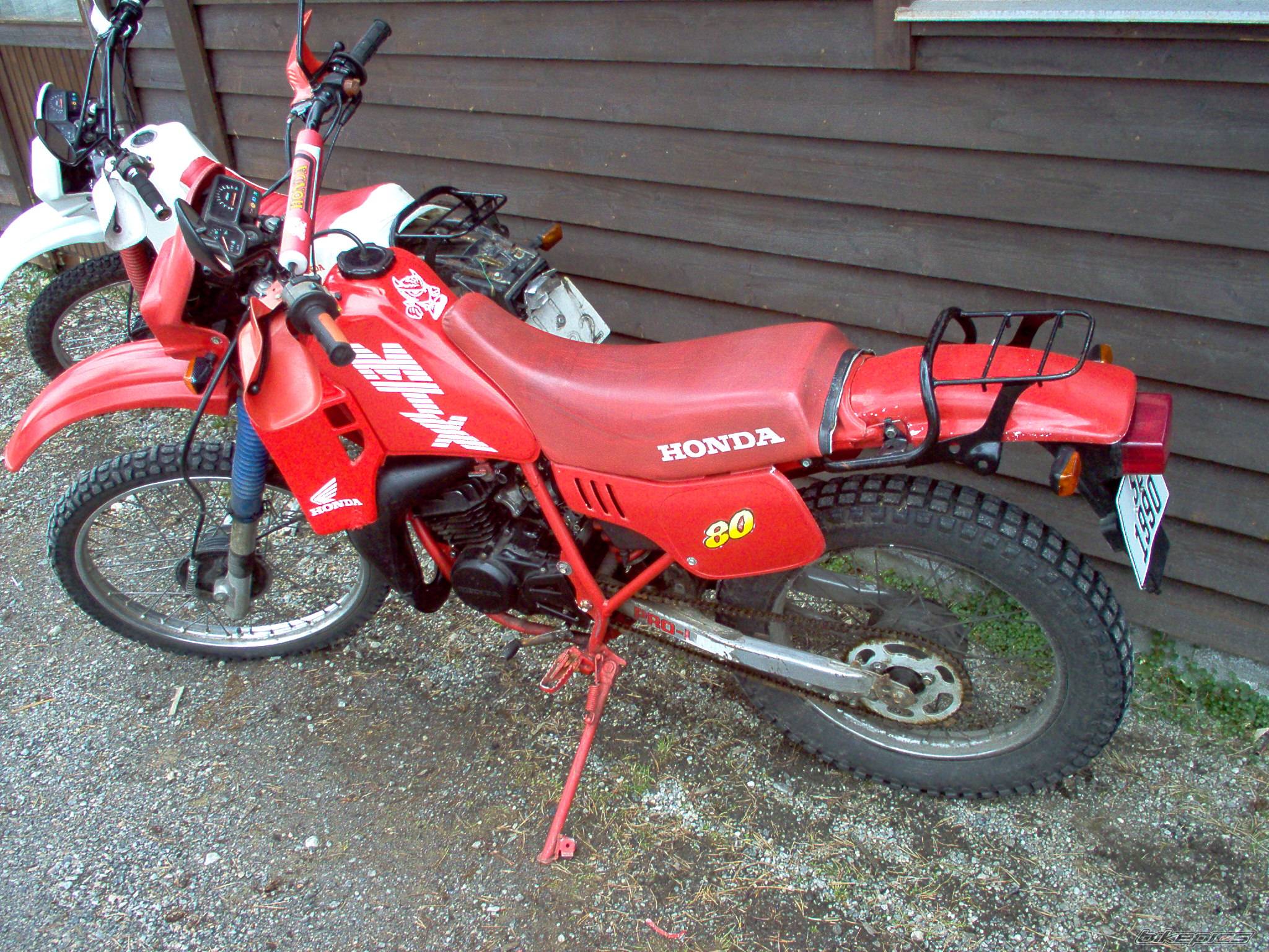Photo 237845